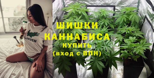 спайс Мегион