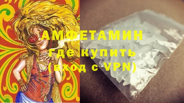 молекула духа Медвежьегорск
