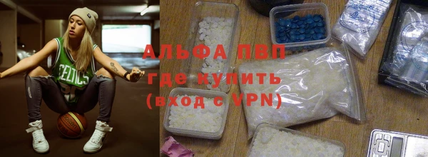 молекула духа Медвежьегорск