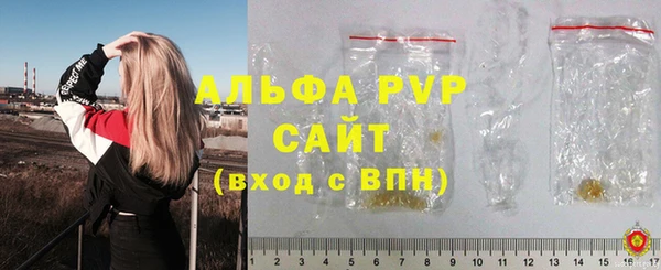 молекула духа Медвежьегорск