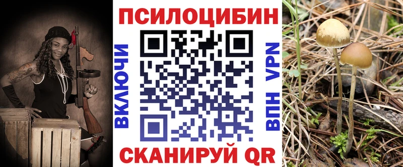 Псилоцибиновые грибы мицелий  Купить  Мурино 